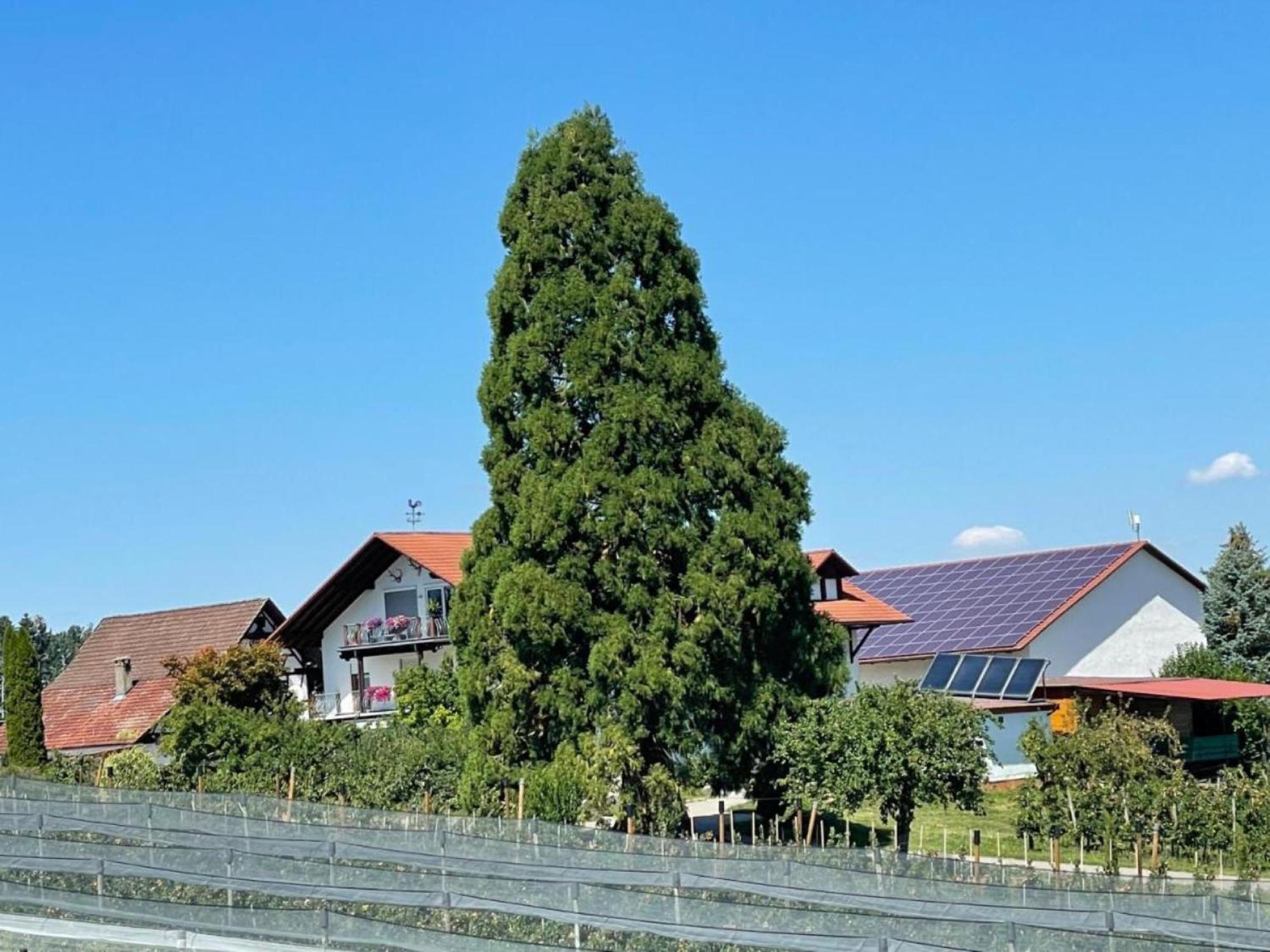 Bergchalet Mirabell - Hofgut FDH Buitenkant foto