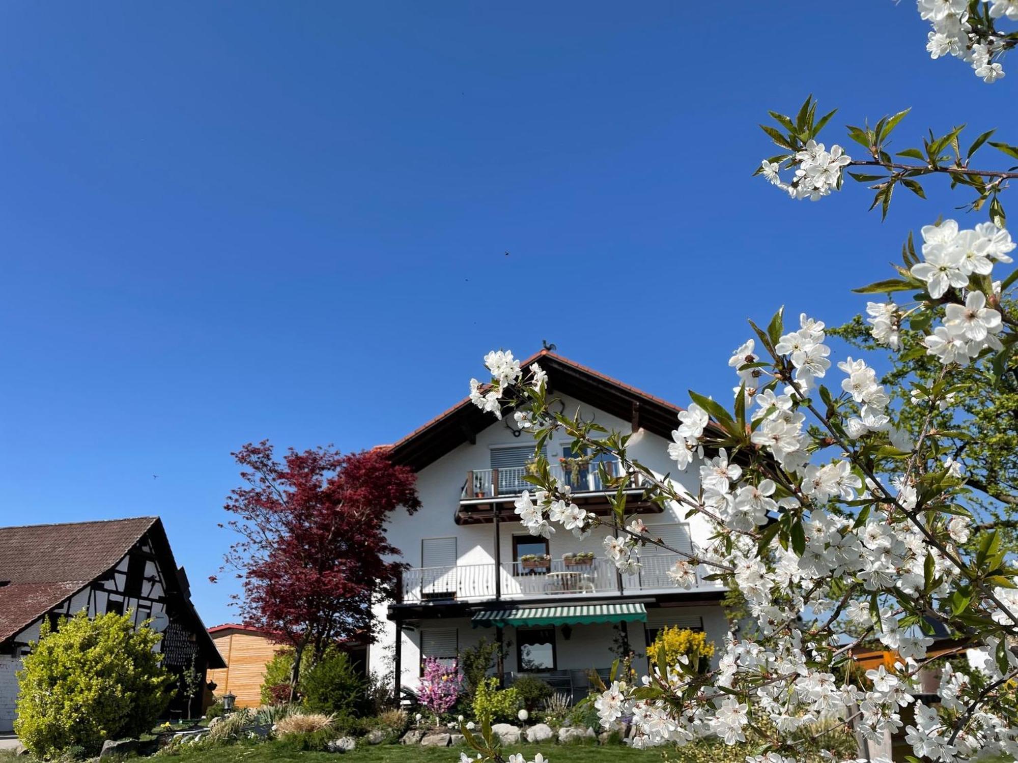 Bergchalet Mirabell - Hofgut FDH Buitenkant foto