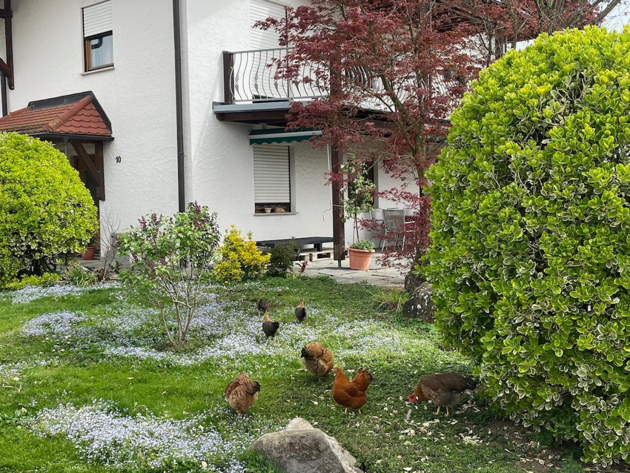 Bergchalet Mirabell - Hofgut FDH Buitenkant foto