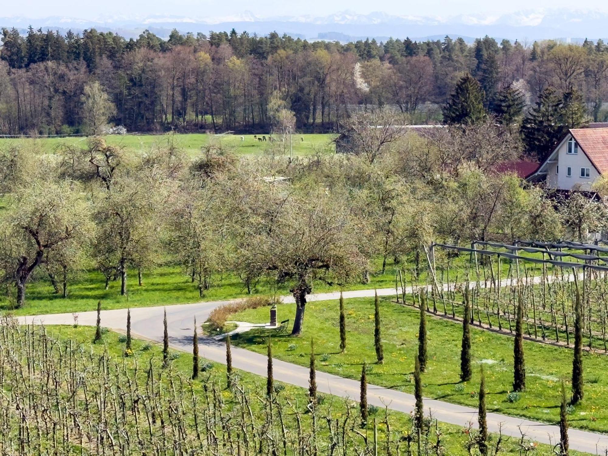 Bergchalet Mirabell - Hofgut FDH Buitenkant foto
