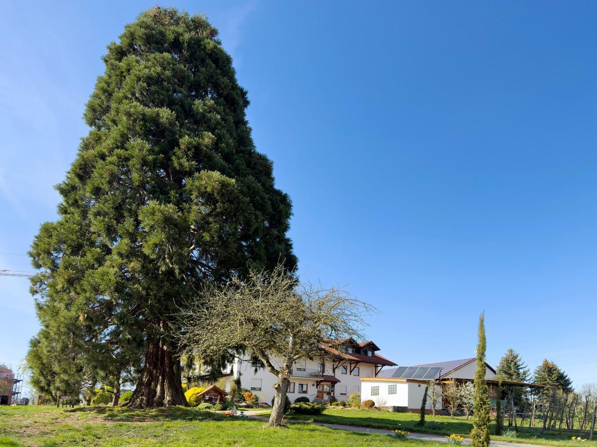 Bergchalet Mirabell - Hofgut FDH Buitenkant foto