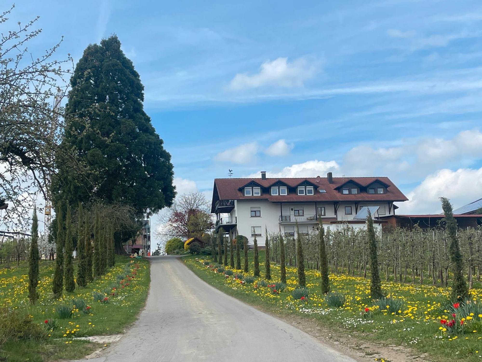 Bergchalet Mirabell - Hofgut FDH Buitenkant foto