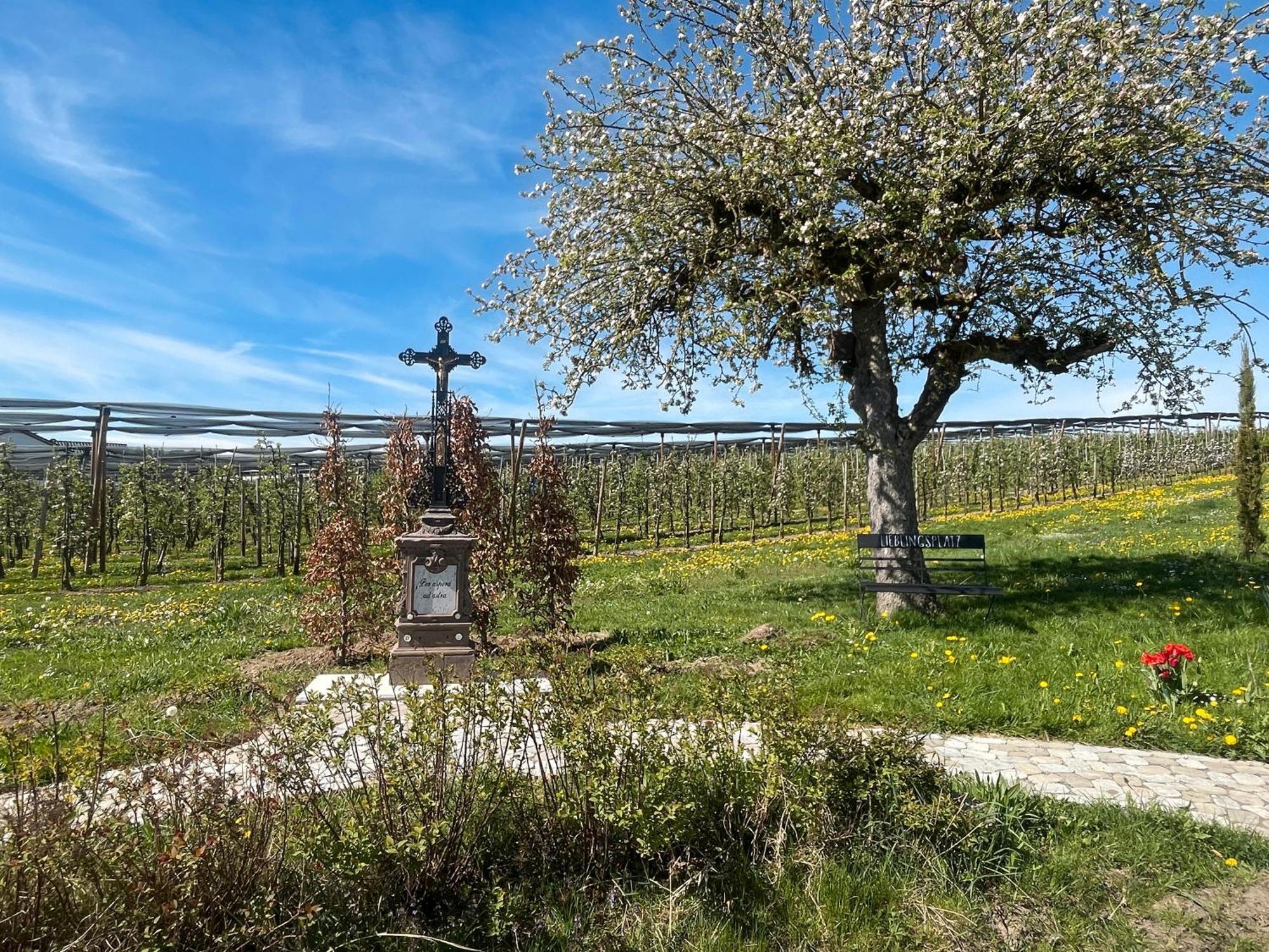 Bergchalet Mirabell - Hofgut FDH Buitenkant foto